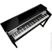   Kurzweil CUP P1 BP