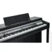   Kurzweil CUP P1 SR