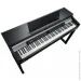   Kurzweil CUP P1 SR