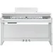   Kurzweil CUP P1 WH