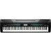   Kurzweil KA-120