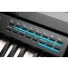   Kurzweil KA-120