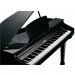   Kurzweil KAG-100 EP