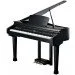   Kurzweil KAG-100 EP