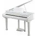   Kurzweil KAG-100 WHP