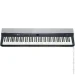   Kurzweil KA-P1 KB