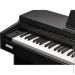   Kurzweil M215 SR
