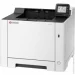  Kyocera ECOSYS PA2101cx (110C253NL0)