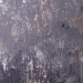   La Nuit    45x45  