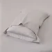 La Nuit    Asola 2 