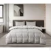 La Nuit    Conty 1,5 -  