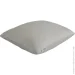  La Nuit   Leaf 40x50  -