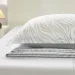 La Nuit    Zebra 2   