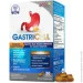   Labo Nutrition      GASTRICEL 30 