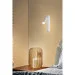  Laguna Lighting 43871-01