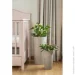  Lamela   LILIA    9,5  (9055364)