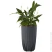 Lamela   MIRA TALL   12,5  (9829859)