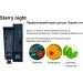 Lamelin    Starry Night, 50  (8809733214560)
