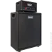  Laney IRF-LEADRIG112