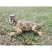  Lanka Novelties    30  21549