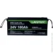    Lanpwr LiFePO4 24V (25.6V/100Ah/2560Wh) (LANPWR-24-100)