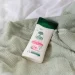    L`Arbre Vert         250 