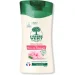    L`Arbre Vert         250 