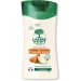 L`Arbre Vert        250 