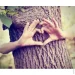 L`Arbre Vert   "   500 (3450601026096)