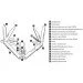 Leatherman Rebar Coyote Standard    (832406)