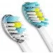  Lebond      Day/Night White (2 )