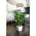     Lechuza Quadro LS 21   (16120)
