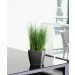     Lechuza Quadro LS 21   (16120)
