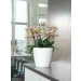     Lechuza Classico LS 28   (16040)