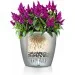     Lechuza Classico Color 28  (13204)