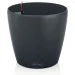     Lechuza Classico Color 28  (13204)