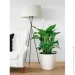  Lechuza   Classico Premium LS 28  19,9  (16043)
