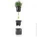  Lechuza   Cube Glossy 14  1  (13510)