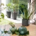  Lechuza   Cube Glossy 14  1   (13511)