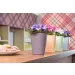     Lechuza Mini-Deltini Premium  (14955)