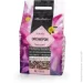 Lechuza  Orchidpon 6  19581