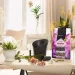 Lechuza  Orchidpon 6  19581