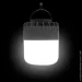 Ledpulsar   RFL-D80-5W 6500K
