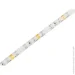 LED  Ledua   3528-60led-12V IP65  (MTK-300R-F-3528-12) MTK (8814)