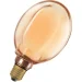   Ledvance   Vintage 1906 Globe 130 Filament O Lamp DIM 1800K Gold 4  E27 1800  220  