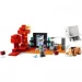  LEGO       (21255)