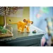  LEGO  ѳ (43243)