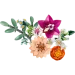  LEGO Botanicals     (10342)