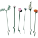  LEGO Botanicals     (10342)