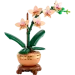  LEGO Botanicals   (10343)